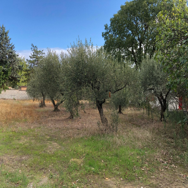 Offres de vente Terrain Saint-Mamert-du-Gard 30730